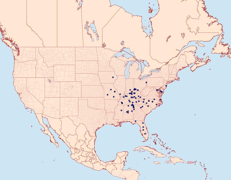 Distribution Data for Glena plumosaria