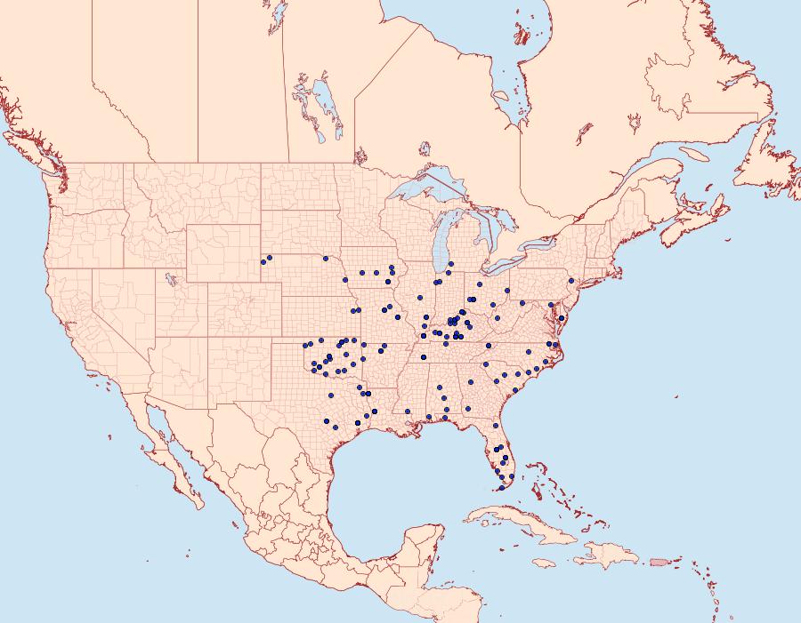 Distribution Data for Tornos scolopacinaria