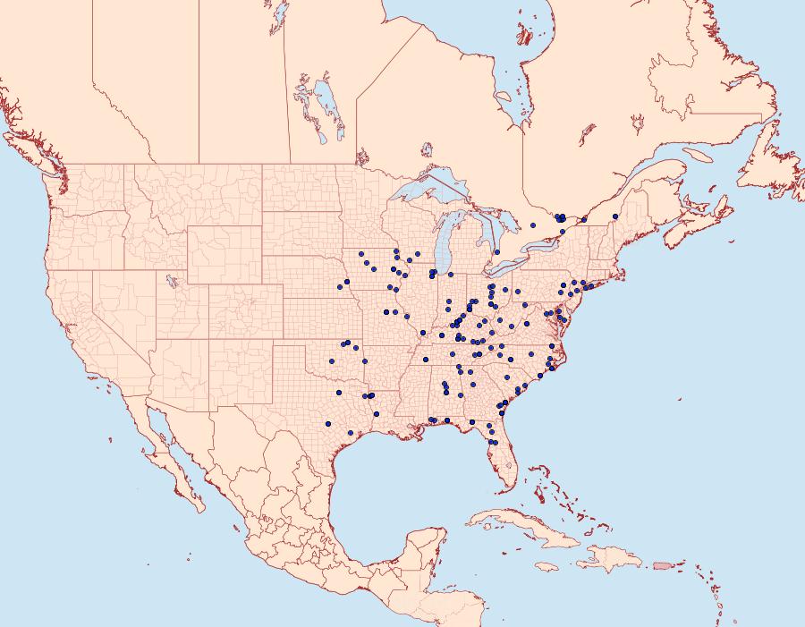 Distribution Data for Cleora sublunaria