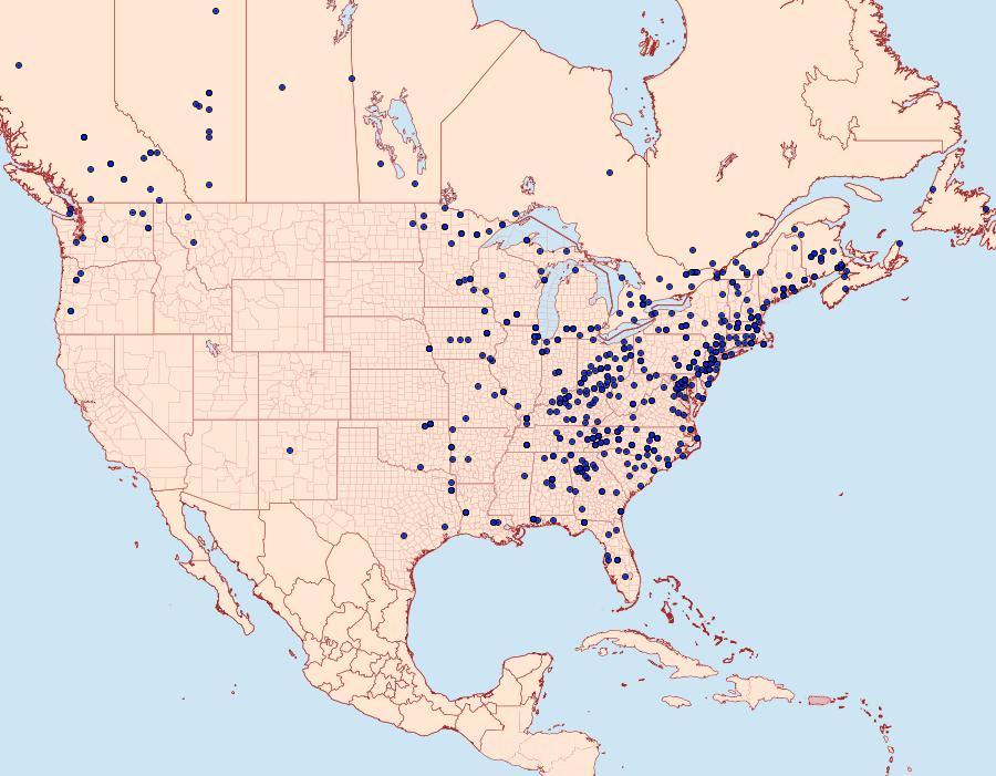 Distribution Data for Protoboarmia porcelaria