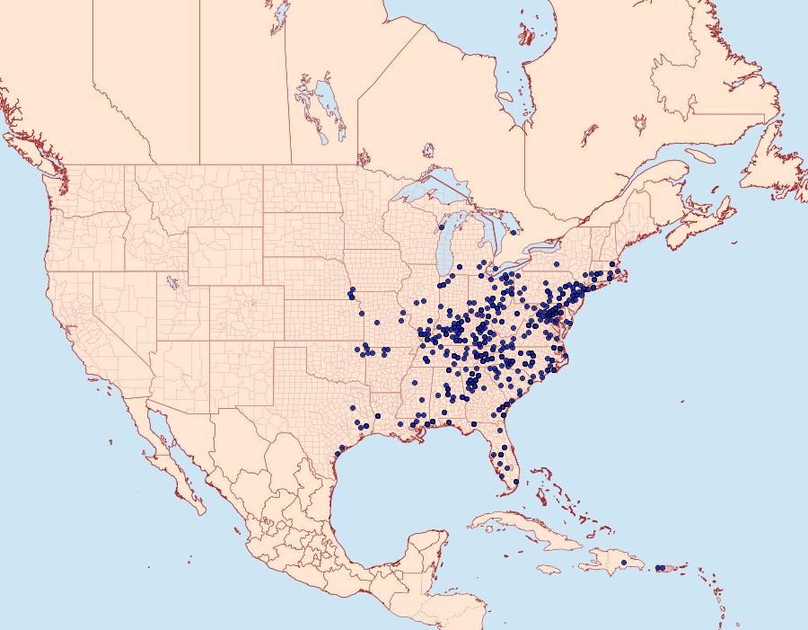 Distribution Data for Epimecis hortaria