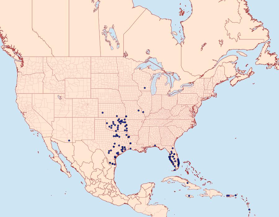 Distribution Data for Melanchroia chephise