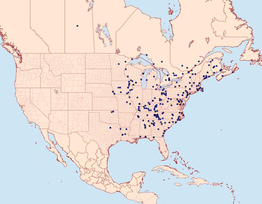 Distribution Data for Melanolophia signataria