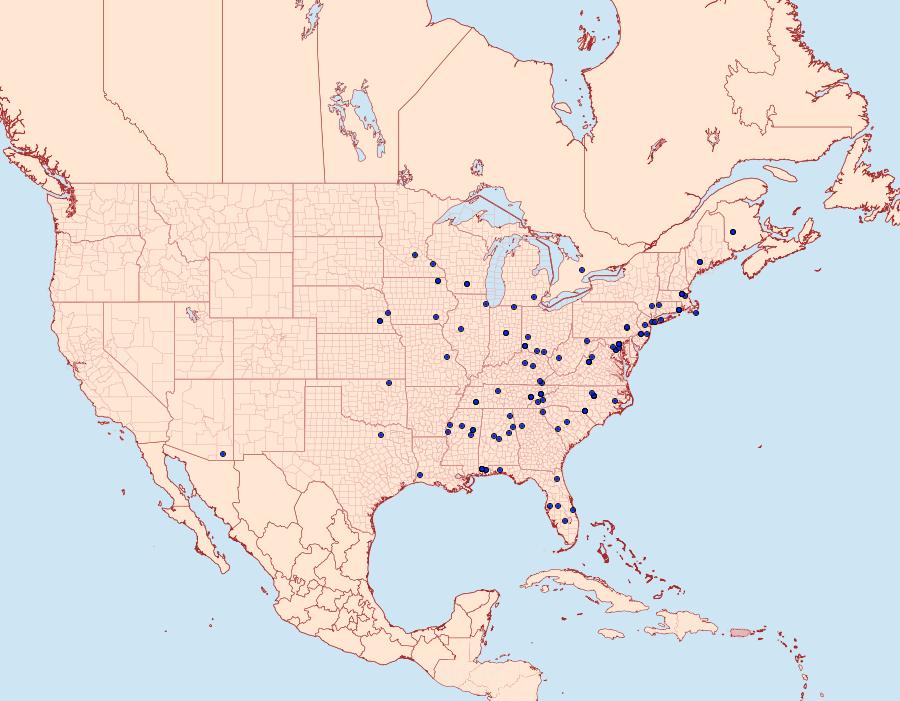 Distribution Data for Neurobathra strigifinitella