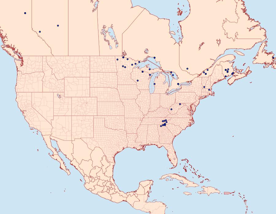 Distribution Data for Eufidonia convergaria