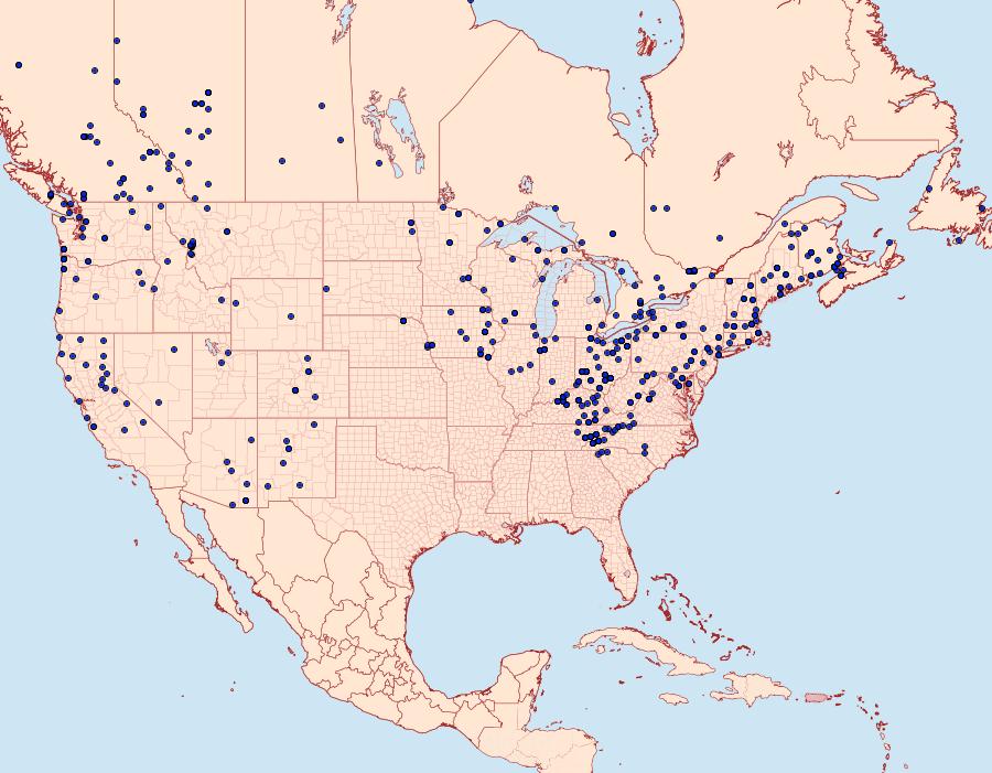 Distribution Data for Biston betularia