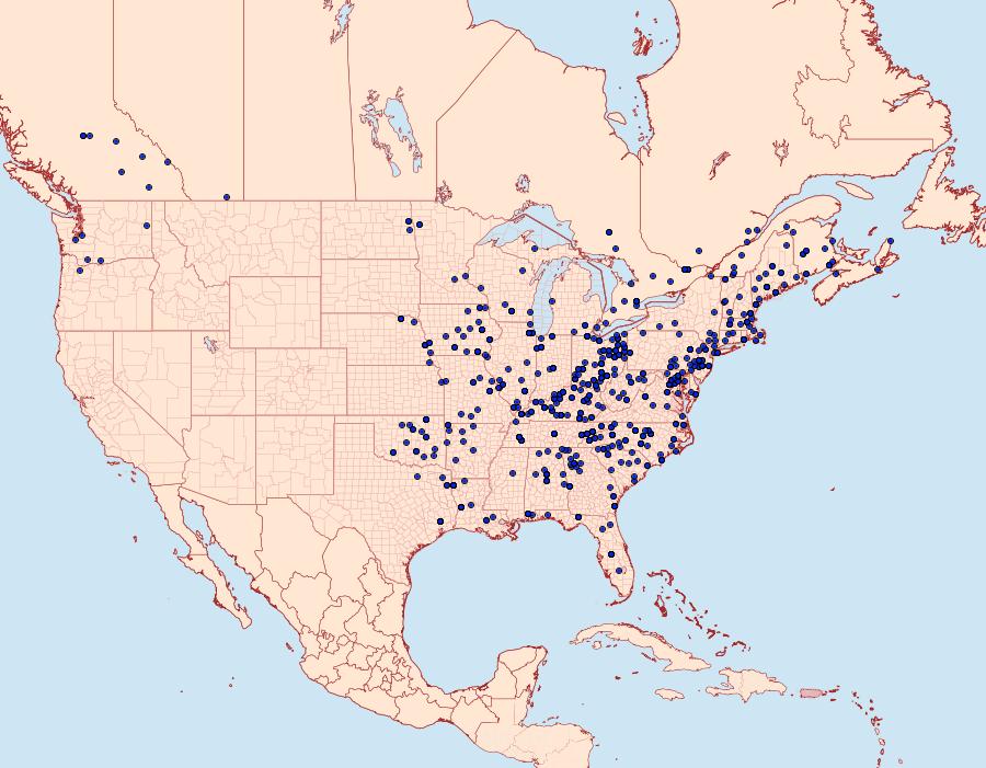 Distribution Data for Hypagyrtis unipunctata