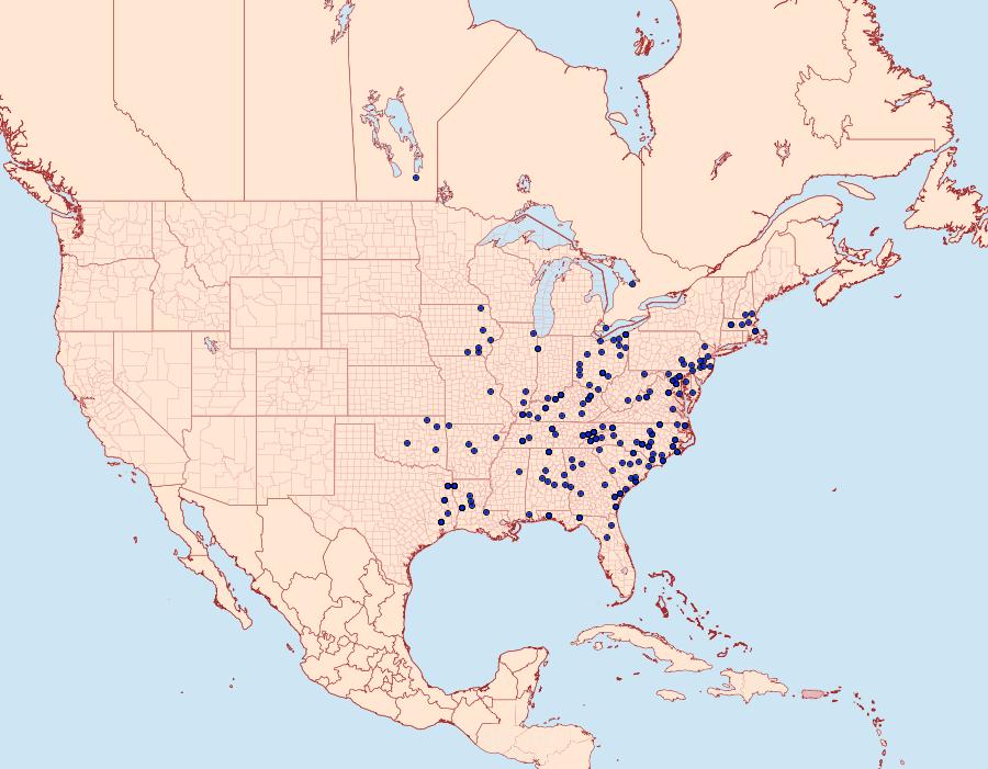 Distribution Data for Hypagyrtis esther