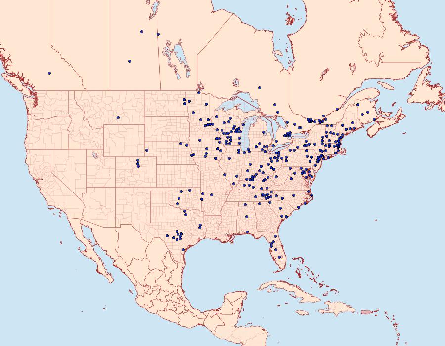 Distribution Data for Phigalia titea