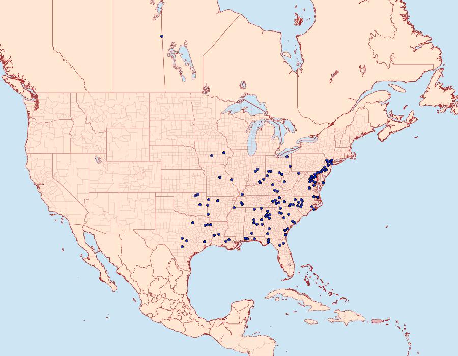 Distribution Data for Phigalia denticulata