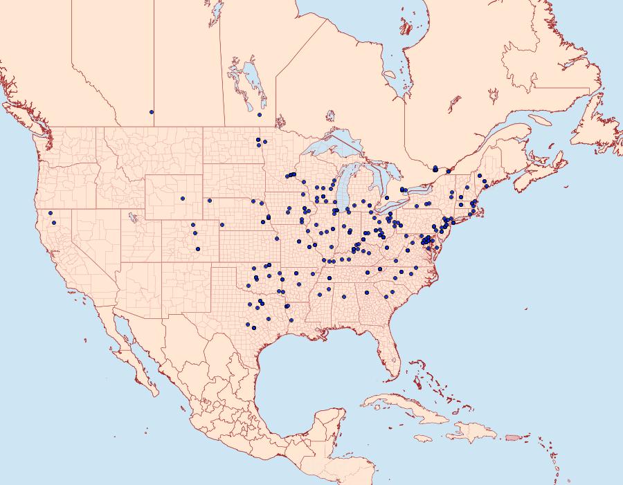 Distribution Data for Paleacrita vernata