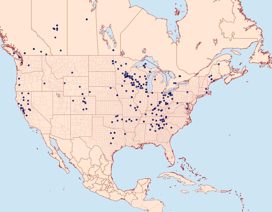 Distribution Data for Erannis tiliaria