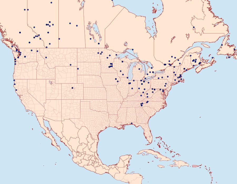 Distribution Data for Cabera erythemaria