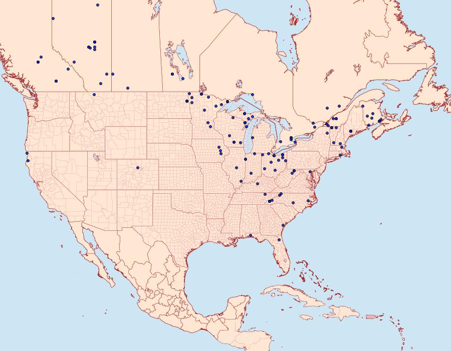 Distribution Data for Cabera variolaria