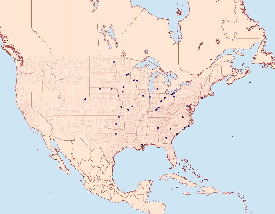 Distribution Data for Cabera quadrifasciaria