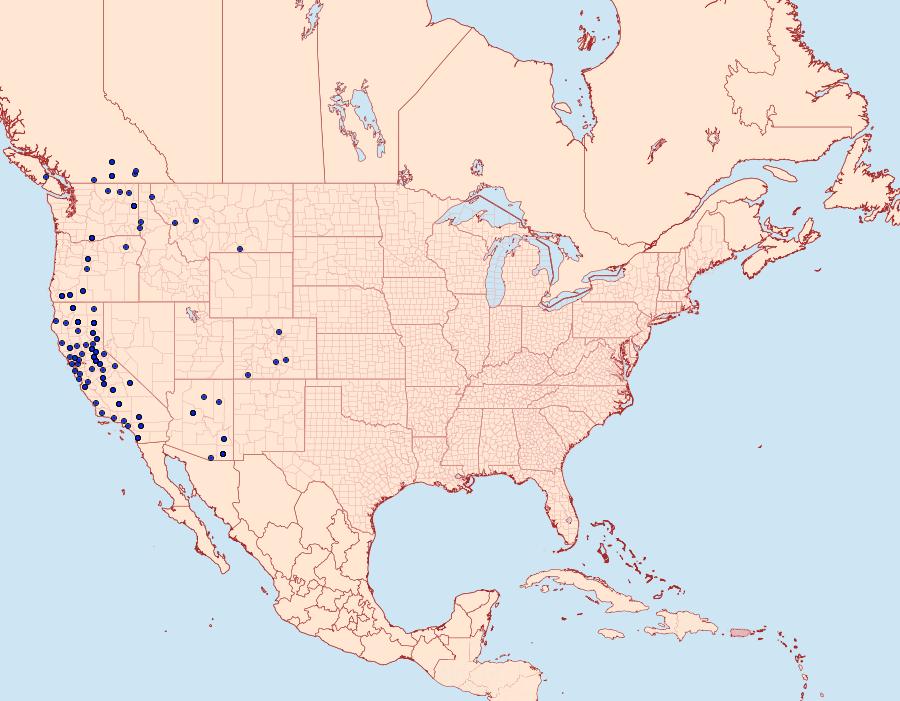 Distribution Data for Drepanulatrix unicalcararia