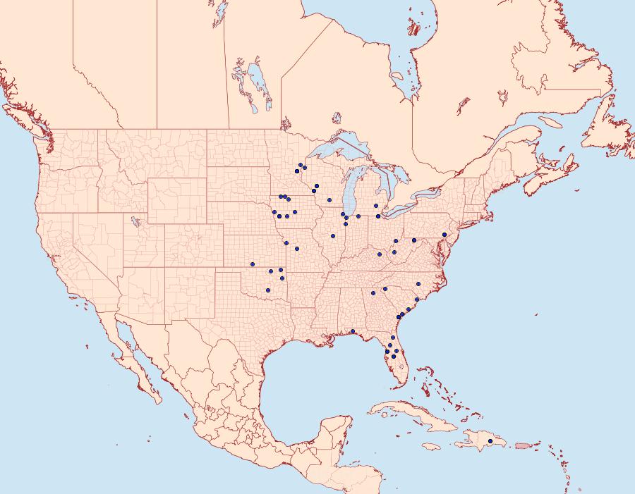 Distribution Data for Erastria coloraria