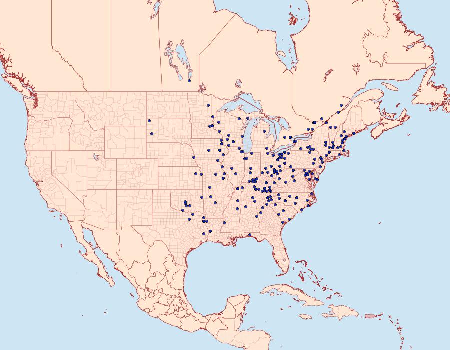 Distribution Data for Lytrosis unitaria