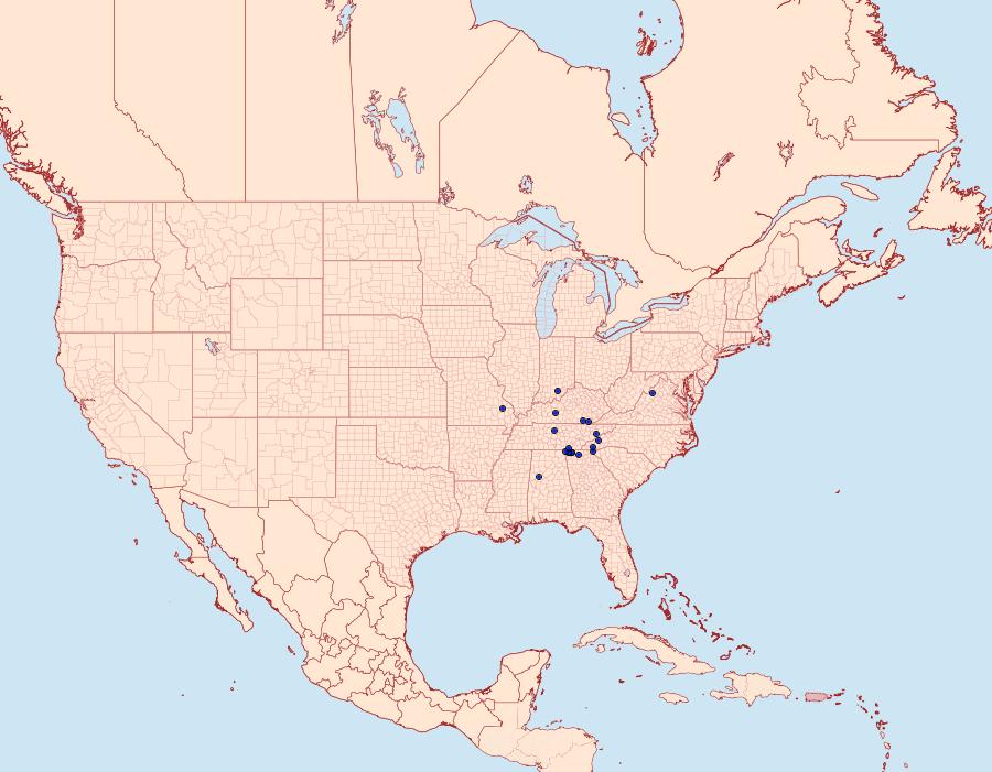 Distribution Data for Lytrosis permagnaria