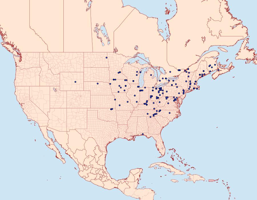 Distribution Data for Euchlaena serrata