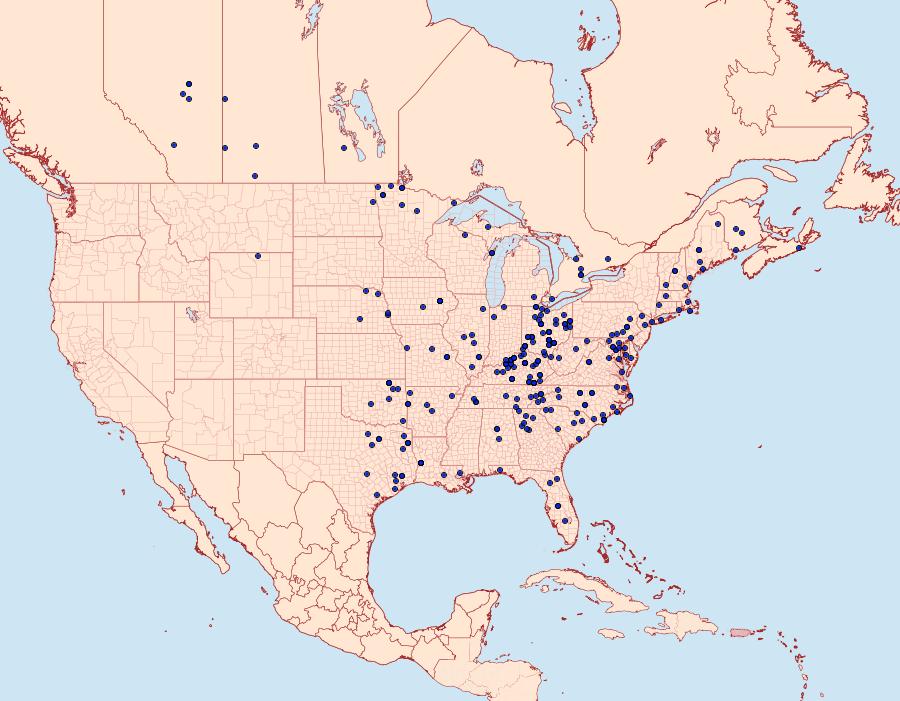 Distribution Data for Euchlaena obtusaria