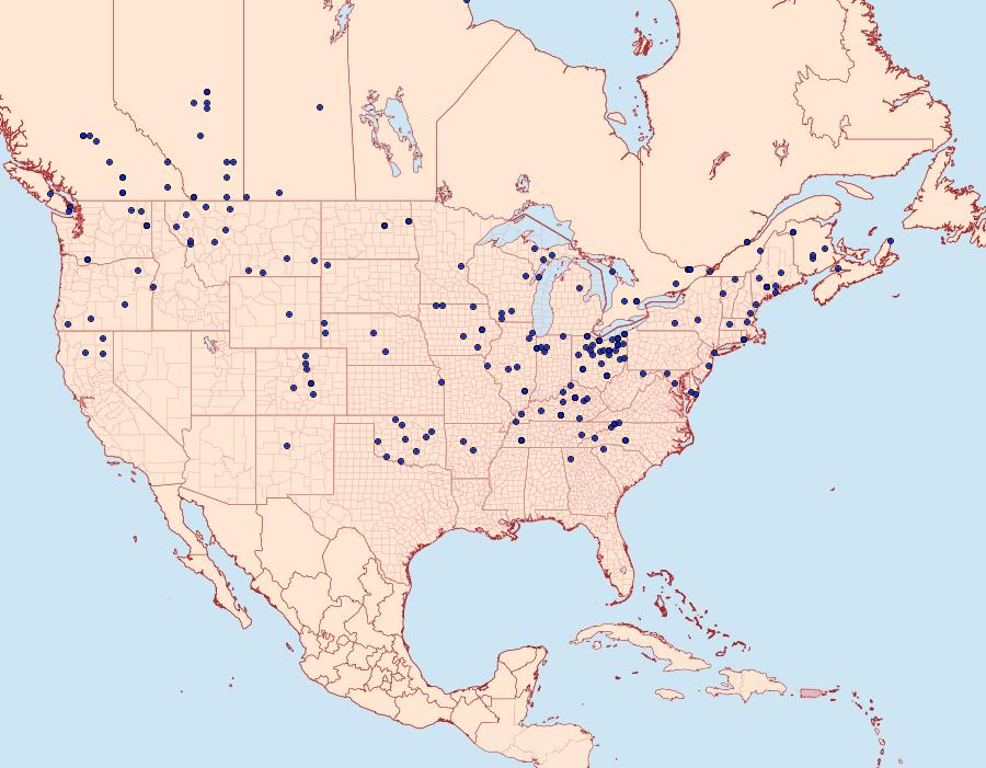 Distribution Data for Euchlaena johnsonaria