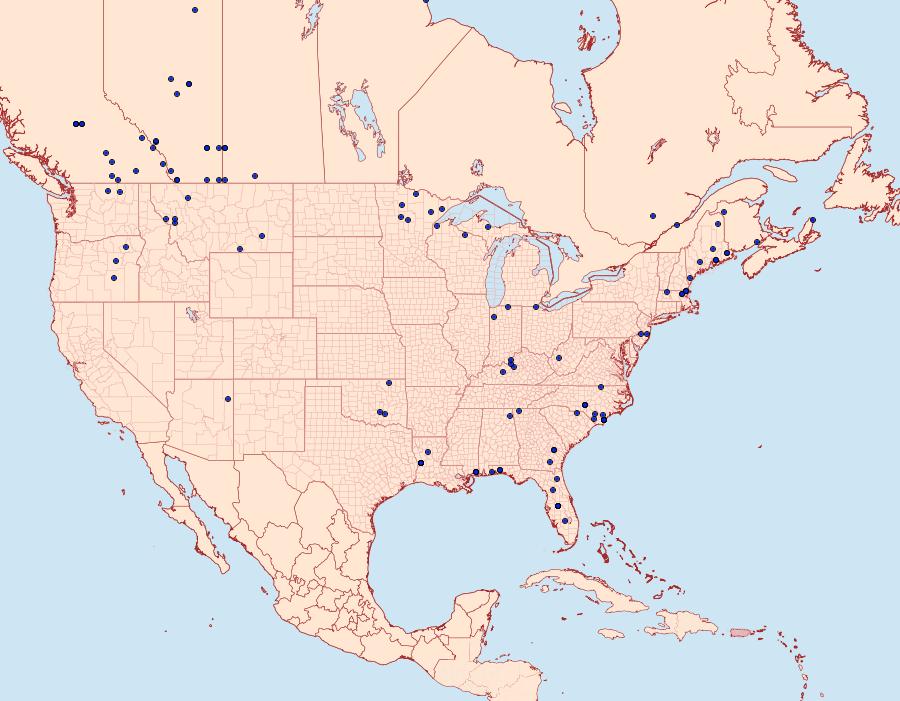 Distribution Data for Euchlaena madusaria