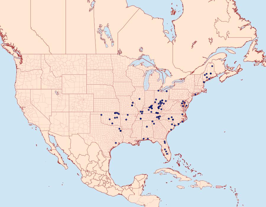 Distribution Data for Euchlaena deductaria