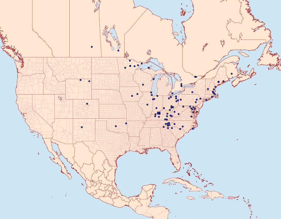 Distribution Data for Euchlaena irraria