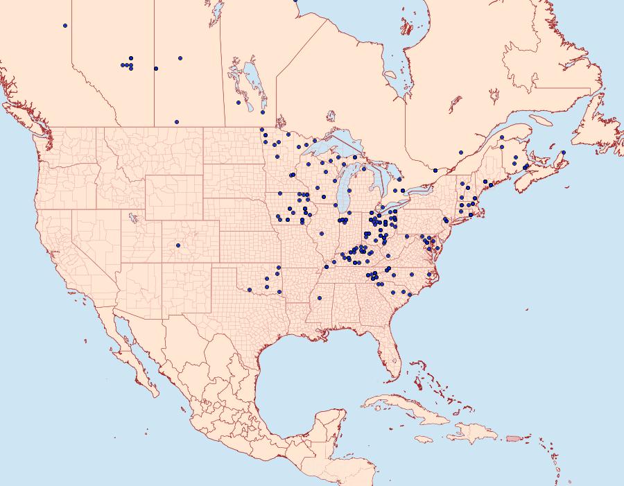 Distribution Data for Xanthotype urticaria