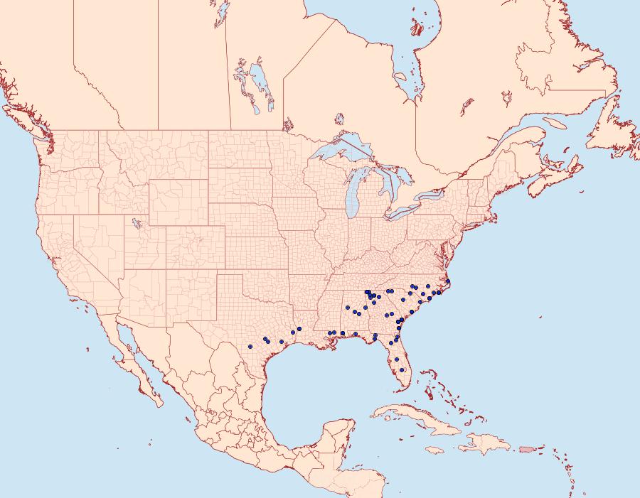 Distribution Data for Cymatophora approximaria