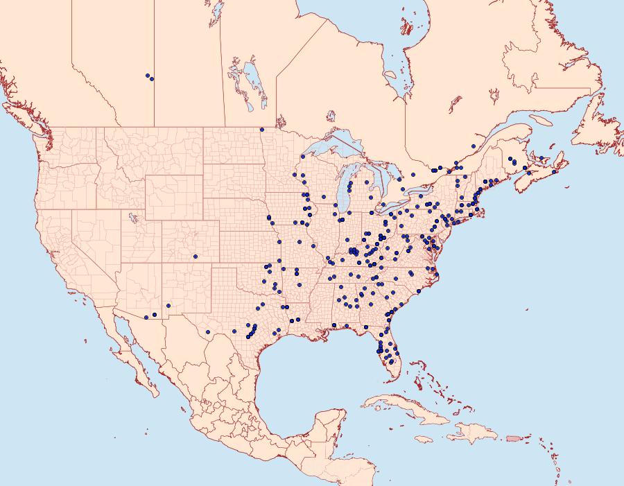 Distribution Data for Phaeoura quernaria