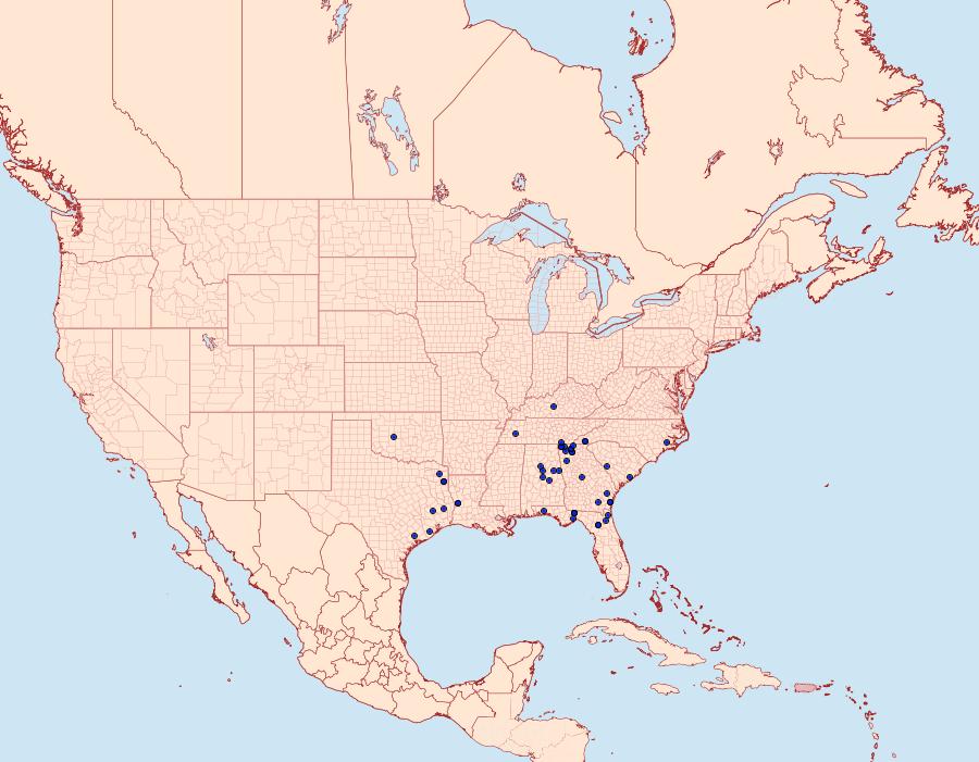 Distribution Data for Ceratonyx satanaria