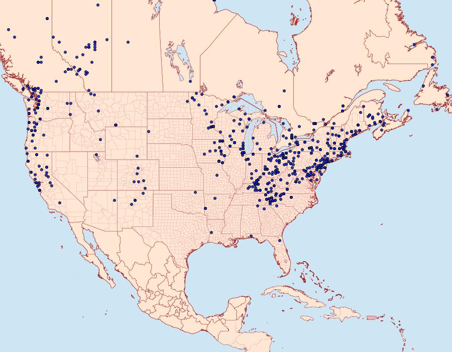 Distribution Data for Campaea perlata