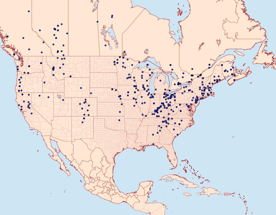 Distribution Data for Ennomos magnaria