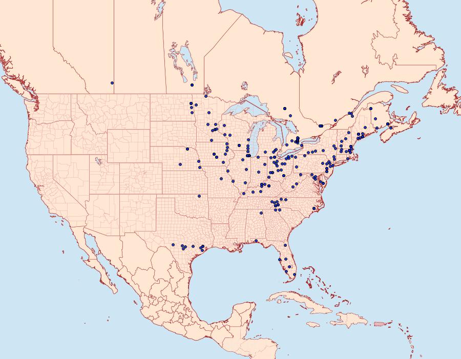 Distribution Data for Ennomos subsignaria