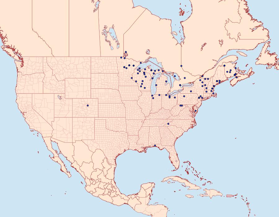 Distribution Data for Petrophora subaequaria