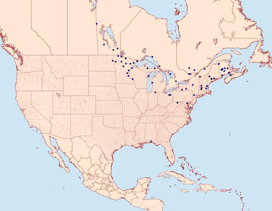 Distribution Data for Tacparia detersata