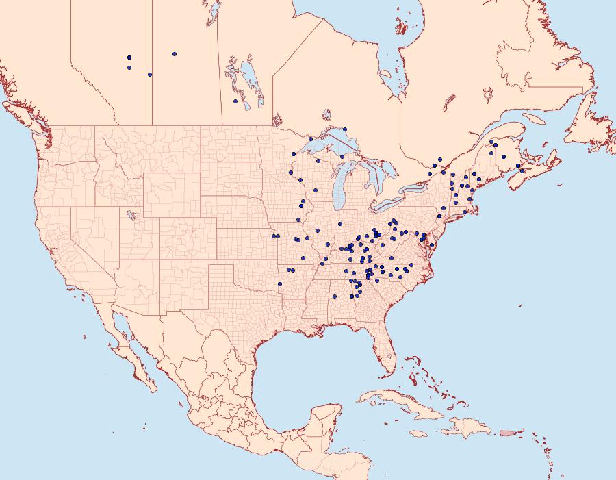 Distribution Data for Selenia kentaria