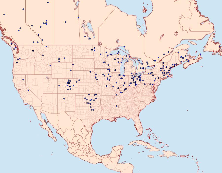 Distribution Data for Metanema inatomaria