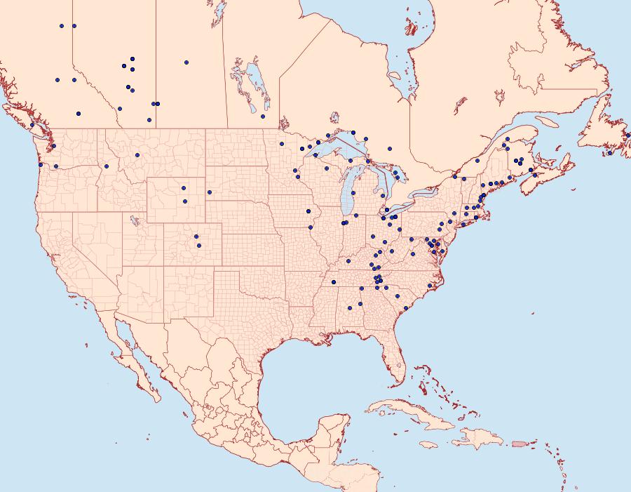 Distribution Data for Metarranthis duaria