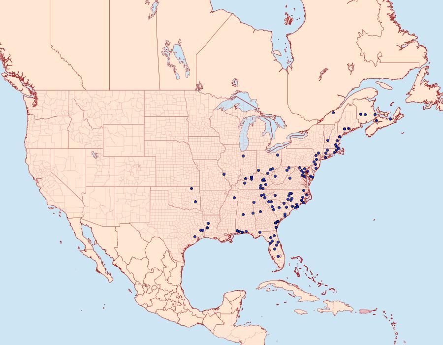 Distribution Data for Metarranthis obfirmaria