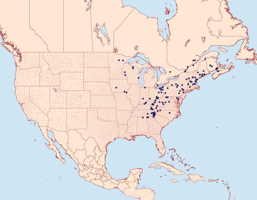 Distribution Data for Plagodis serinaria