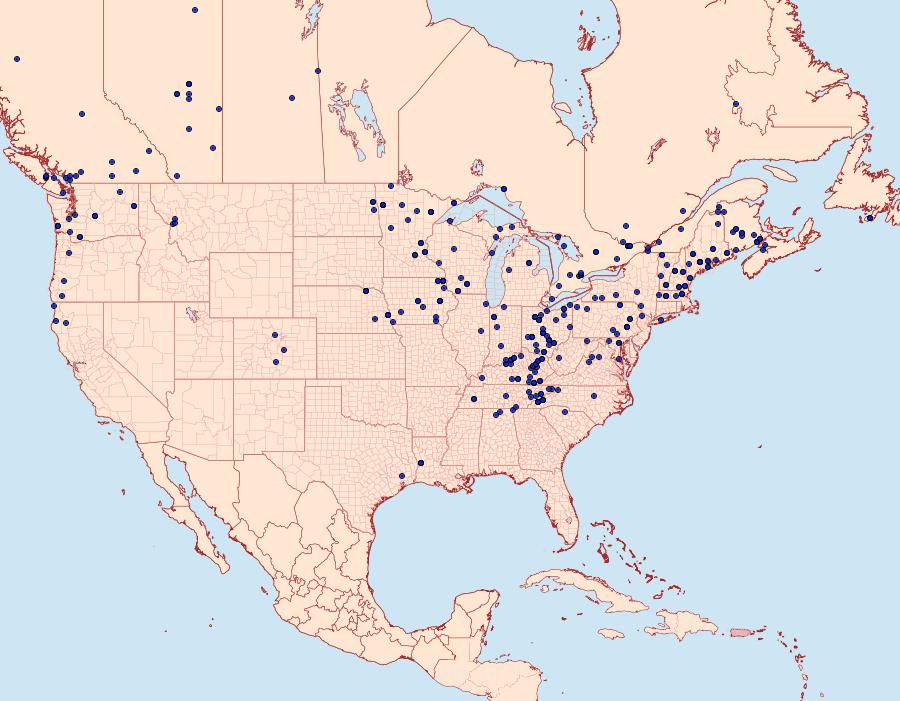 Distribution Data for Plagodis phlogosaria