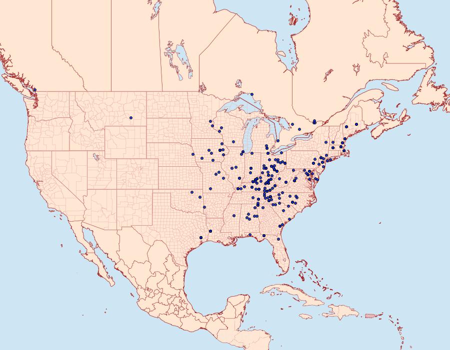 Distribution Data for Plagodis fervidaria