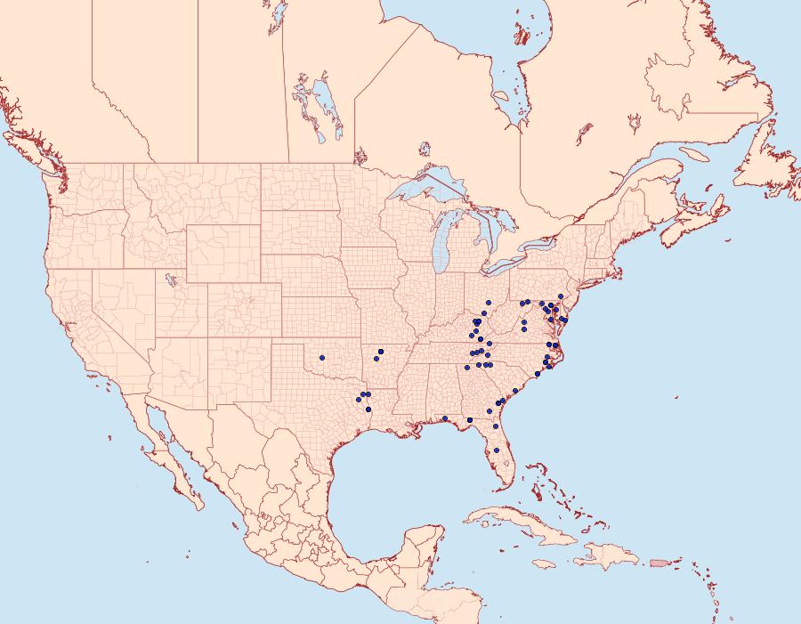 Distribution Data for Caripeta aretaria