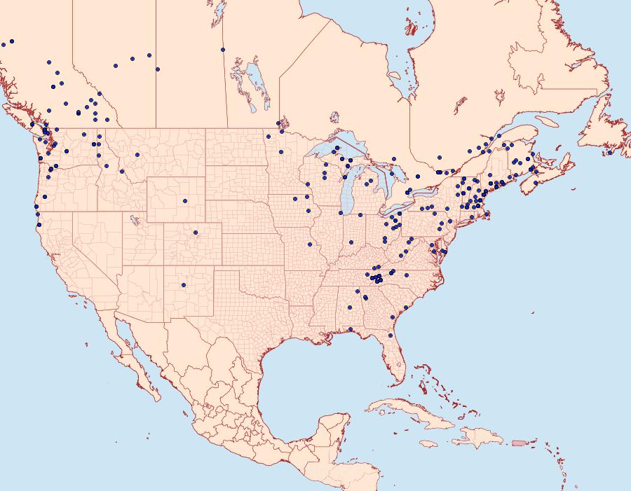 Distribution Data for Lambdina fiscellaria