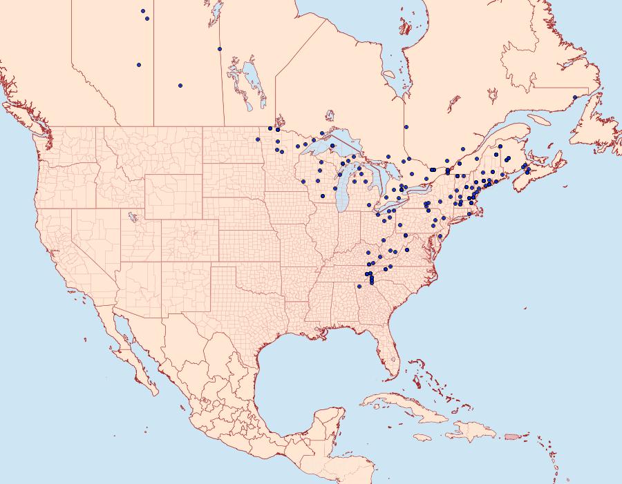 Distribution Data for Nepytia canosaria