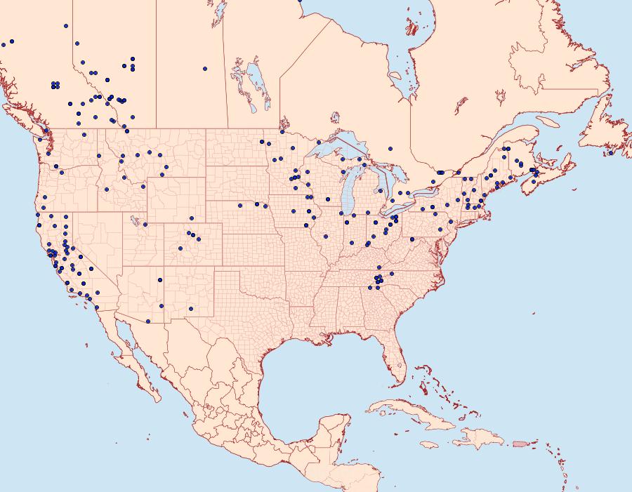 Distribution Data for Sicya macularia