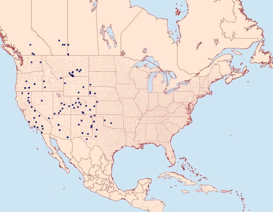 Distribution Data for Plataea trilinearia